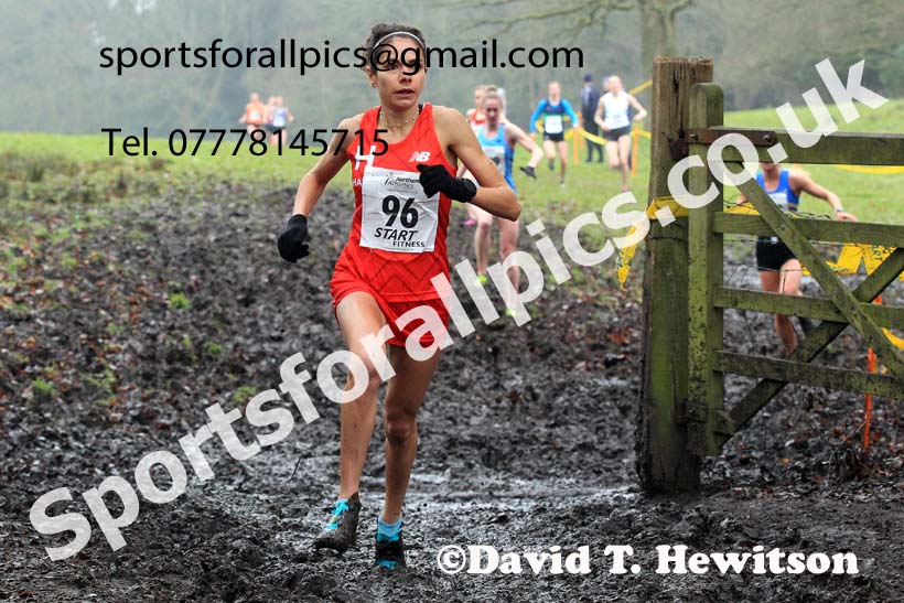 Senior Womens 2023 Northern Cross Country Champs., Witton Park, Blackburn. Photo: David T. Hewitson/Sports for All Pics